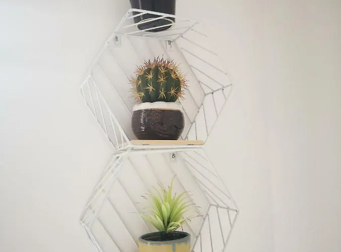 Dip2 * バルセロナ